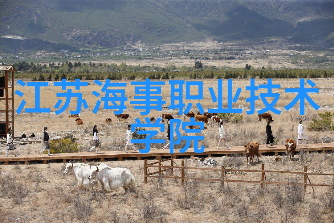 生态奇观揭秘动物反应器软件的神奇世界