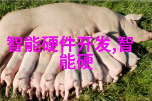台积电中国为何选择合作而非抢夺