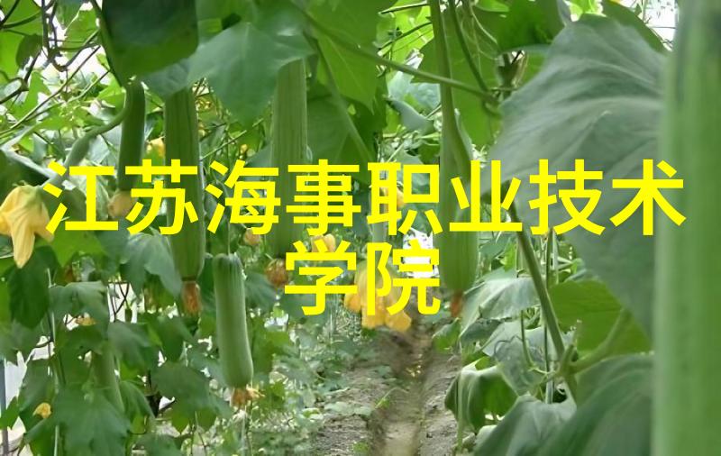 穿戴手机变身科技小精灵