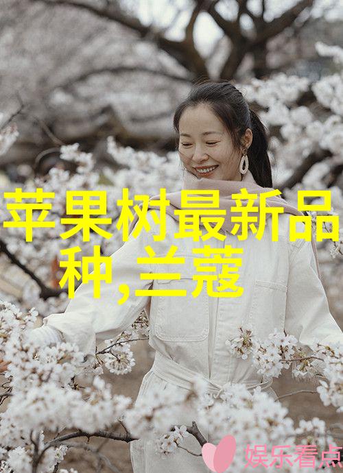 光影对峙机器视觉与LED点光源的反差之美