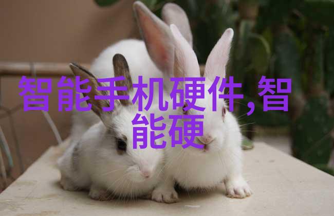 高压蒸汽灭菌器的精确灭菌参数高效消毒技术