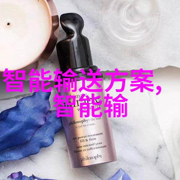 立项前可行性研究报告探索项目前期评估的理论与实践