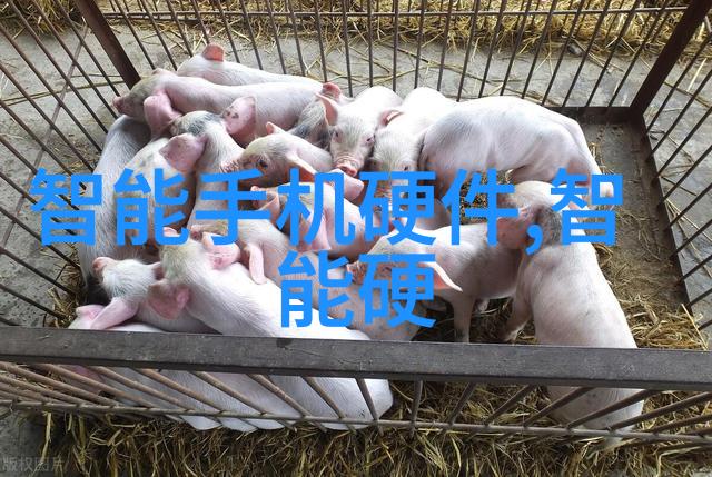 智能教育评估系统八大智能测评表的引领作用