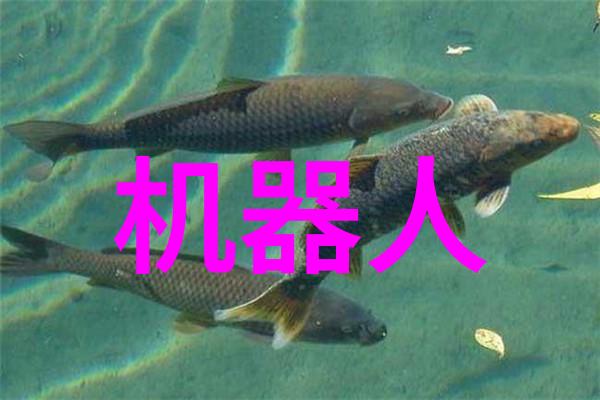 Tobu7tobu8HDAPP93探索数字化应用与技术创新