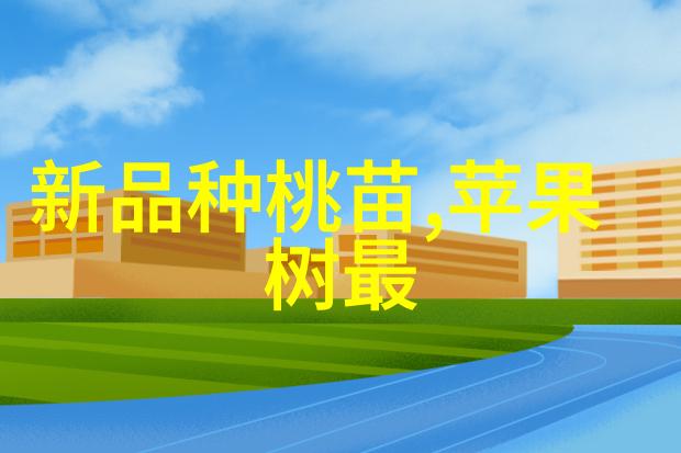 芯片是如何制造的揭秘硅之谜