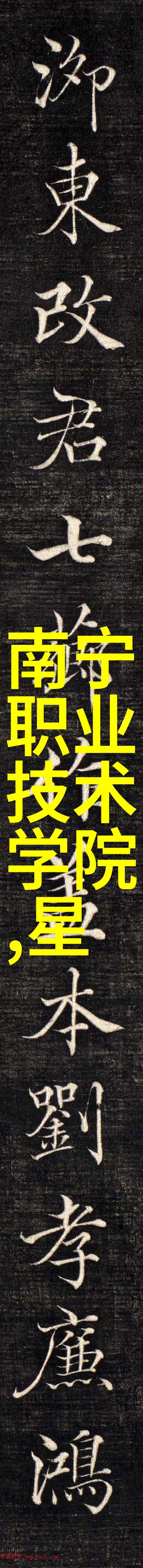 金属之脉管材的多样面貌
