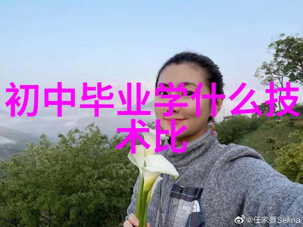 百合之速追逐梦想的车轮