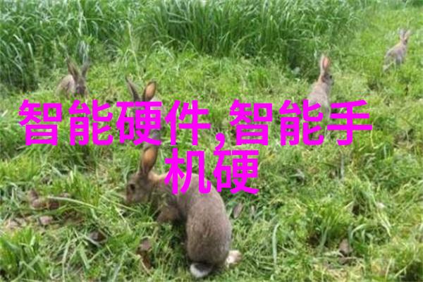 迈开腿尝尝你的草莓声音亲自体验我是如何品出朋友们最棒的草莓秘方的