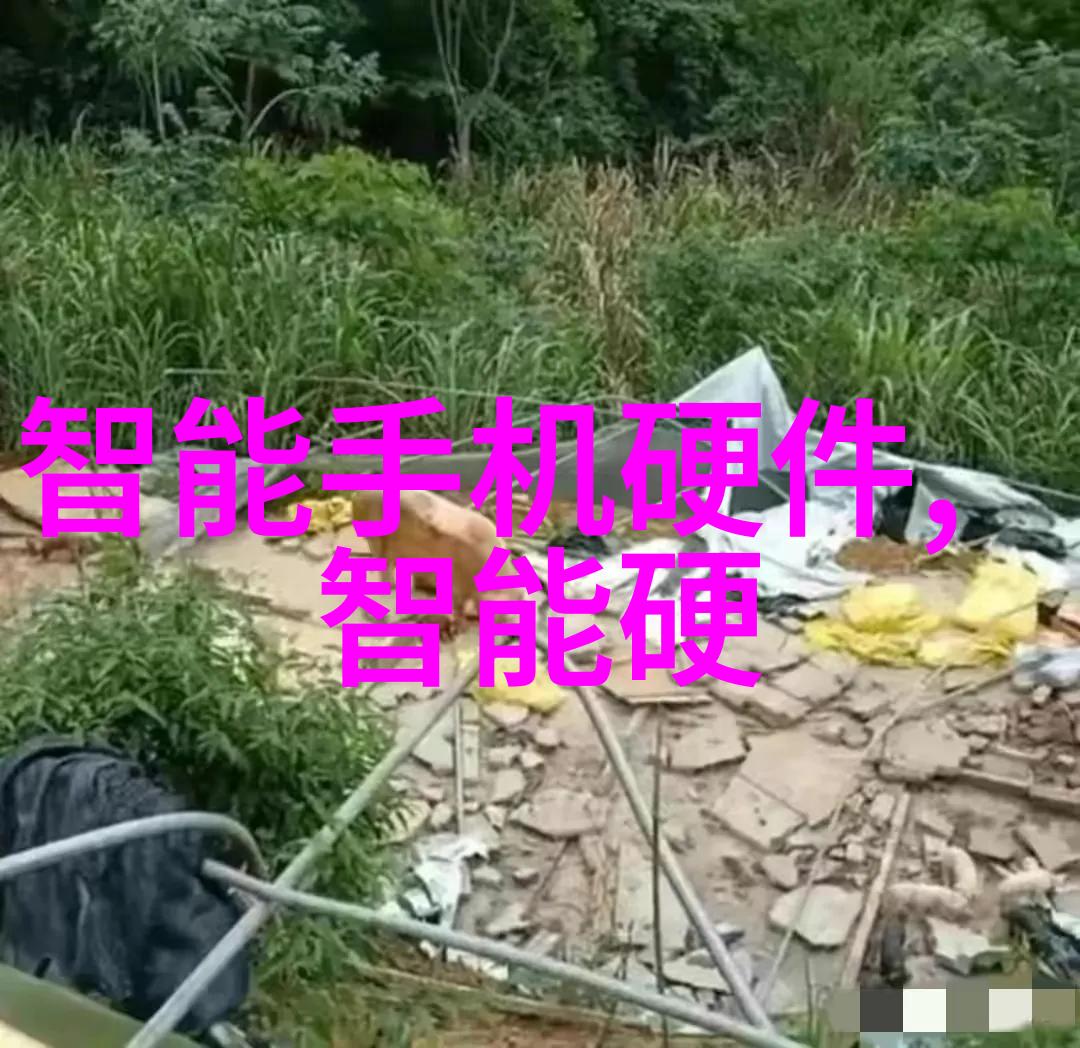 勇敢的小马力莉一路向前