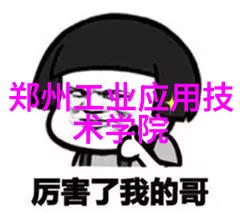 未来可见光学传感器之星纳米结构在高性能生物芯皮上的作用