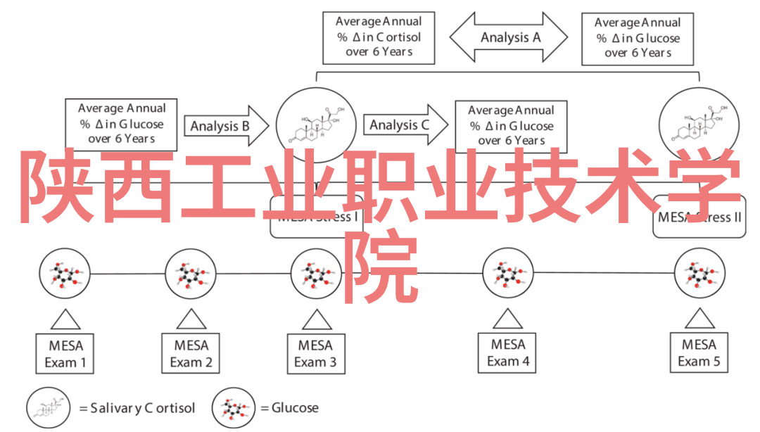 十大安卓应用商店排名正如百花齐放的春天每一家都是独特的玫瑰竞争激烈又充满活力