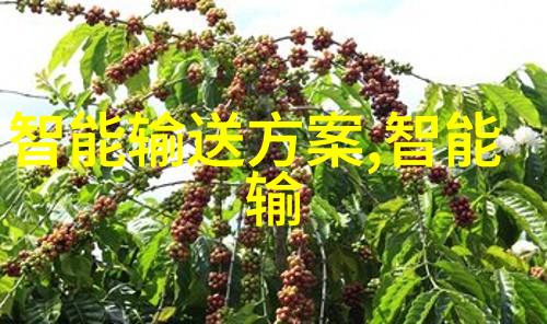 如何确保自建或购买到的纯化水设备符合国际GMP标准要求