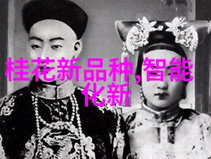 卫生泵的奥秘它是如何确保我们的水源清洁健康的