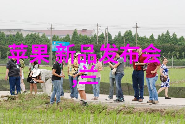可行性报告详细分析项目实施策略与成本效益评估