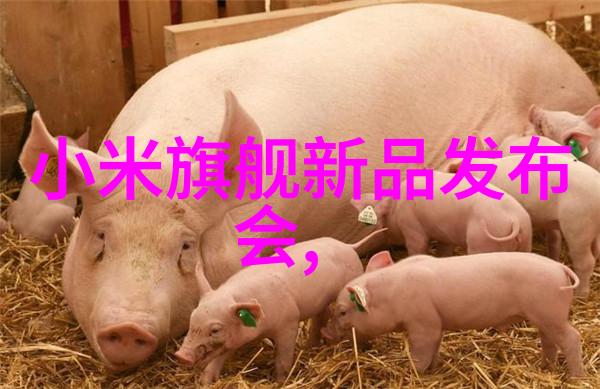 风情万种的女子迷人的魅力与深邃情感