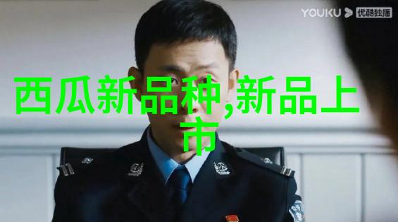 麻婆豆腐传媒视频免费视频-探索香辣世界的美味之旅