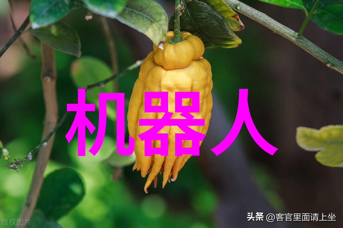 工业过滤技术-丝网填料与鲍尔环填料选择最佳过滤介质的艺术