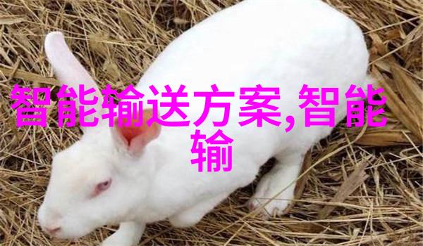 全球十大半导体巨擘引领潮流全大核天玑8400强势发布REDMI Turbo 4预热登场