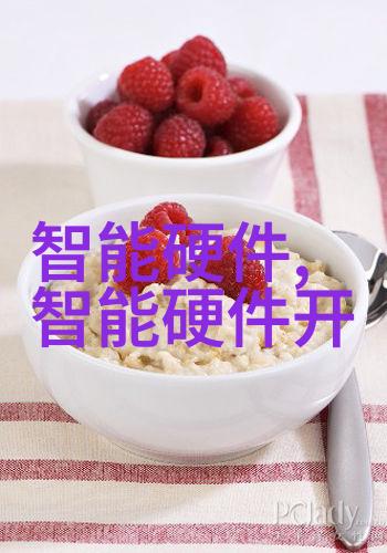 技术的金鱼编程之美与挑战