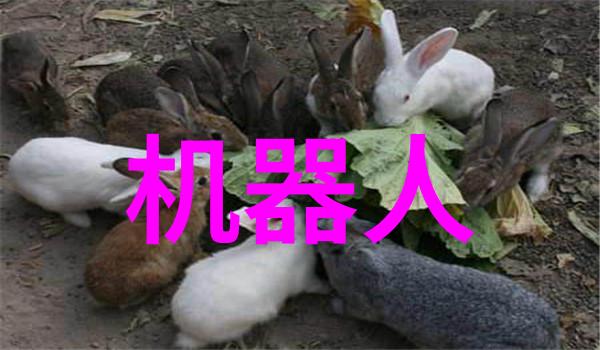 如何确保中国智能交通网的数据安全和隐私保护