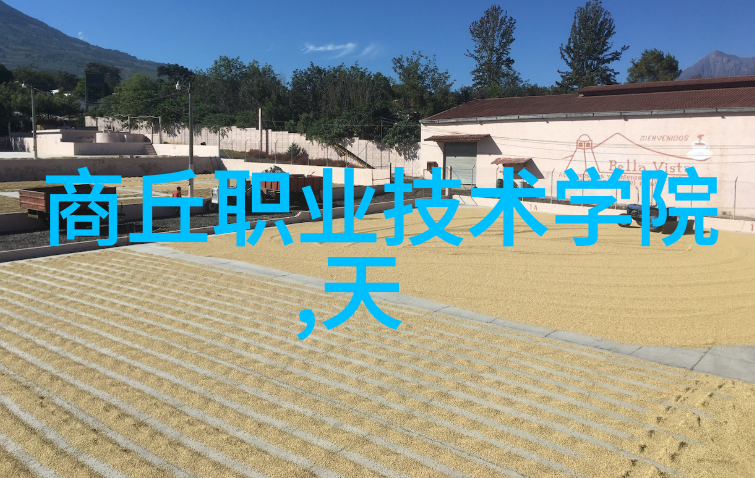 煤泥干燥技术与设备的发展趋势分析