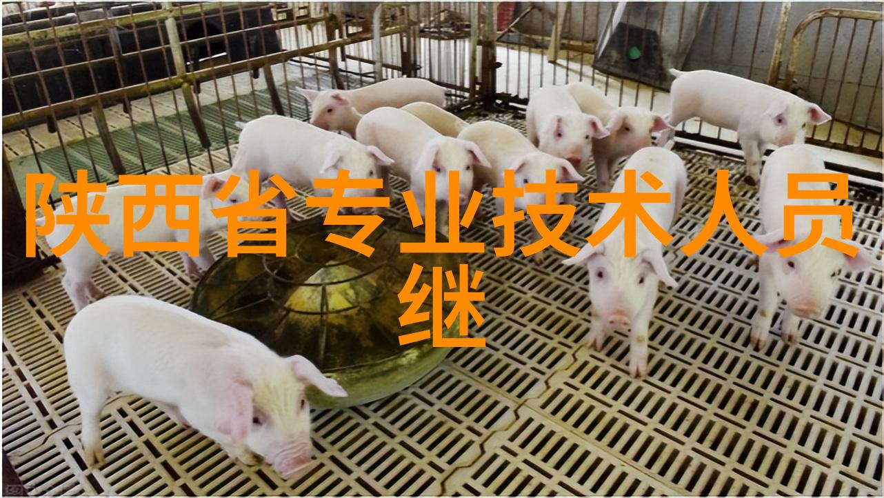 磨练精髓立式辊磨机的艺术之道