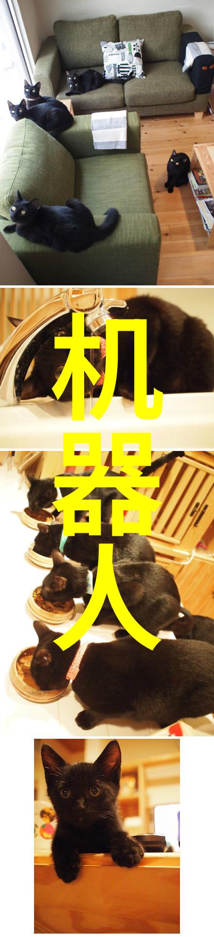 如何选择合适的布袋除尘器