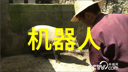 痛楚与笑声交织的扑克之夜