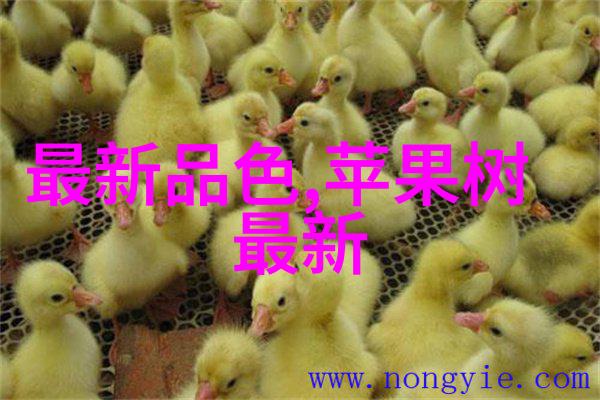 热传导原理热量如何从高温体到低温体的自然传递过程