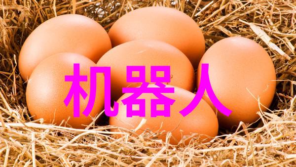 河南财经政法大学培养法律与经济学术的双料才子