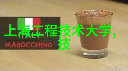 芯片门揭秘微妙的数字世界