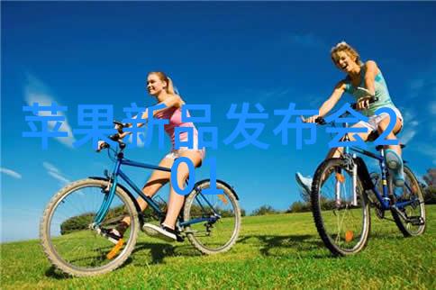 智能输送方案-实现高效物流配送的关键技术