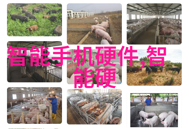 华为WATCH FIT 2在汗水中交换友情共赴可穿戴设备市场分析之旅