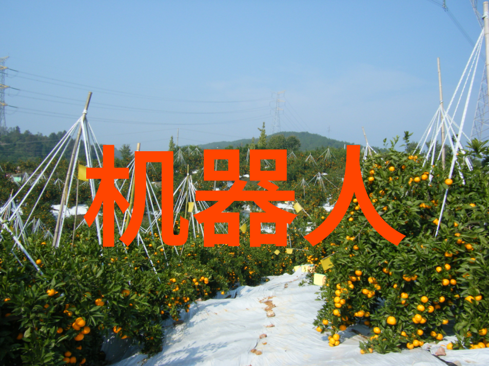 高性能涂层材料的选择与应用PVDF规整填料在建筑装饰中的作用探究
