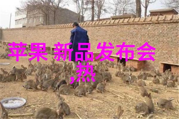 学习和培训方面湖南省对中南技术人员提供了什么样的支持