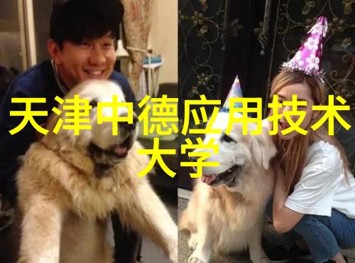 铜铝破碎分离机-精准回收金属资源的高效解决方案