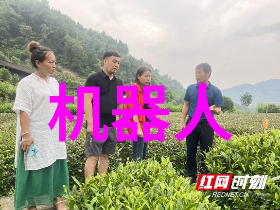 公司在研发新技术方面投入了多少资源