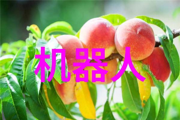 天津智网通行从红绿灯到智能闹钟的变革之旅