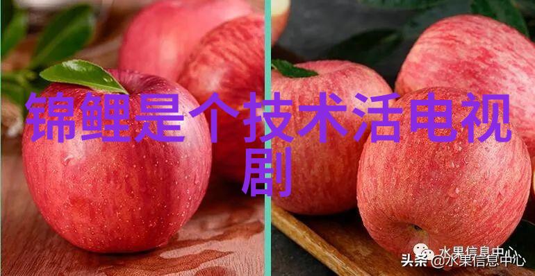工业级制冷系统供应商专业大型冷藏设备制造商