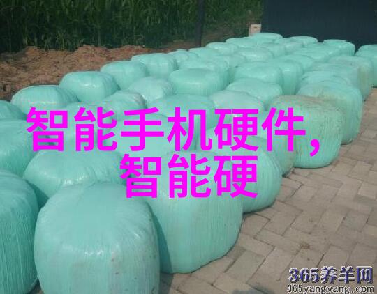 冰泪编织寒流之城的秘密工匠