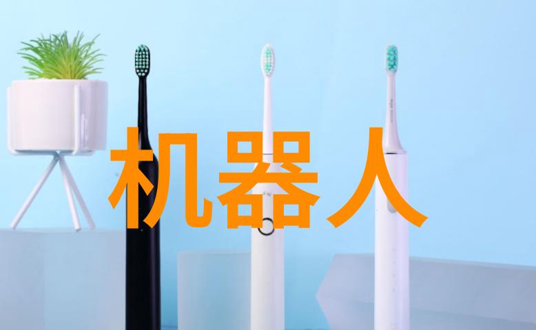 东方财经之窗探索山东财经大学的学术精髓