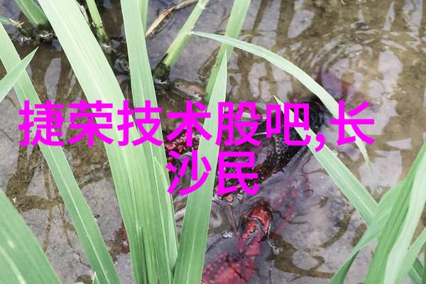 张警官视频链接我找到了那个热门的视频