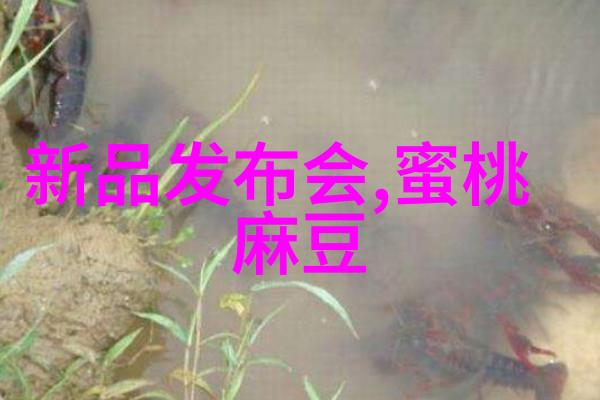 星闪技术温暖果实共筑绿洲