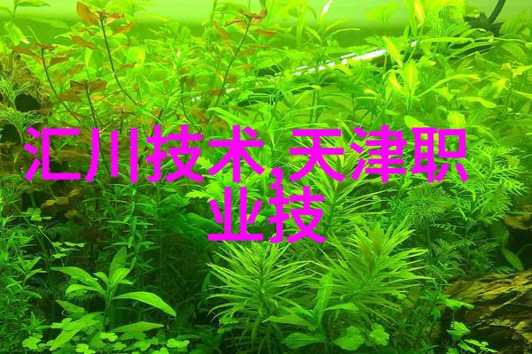 新品上市流程营销策略下的产品推广