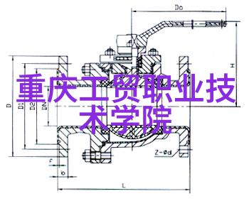 揭秘一阳吞三阴技术要求与实践指南