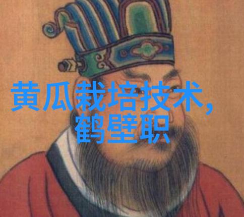 怎样在300字内对调查对象进行有效的描述