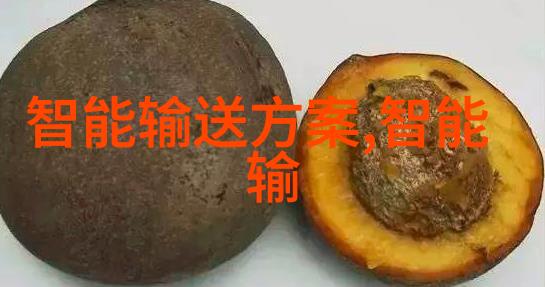 智能装备方案科技与未来的无缝融合