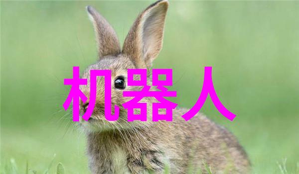 月下剑杀孤狼的咒语