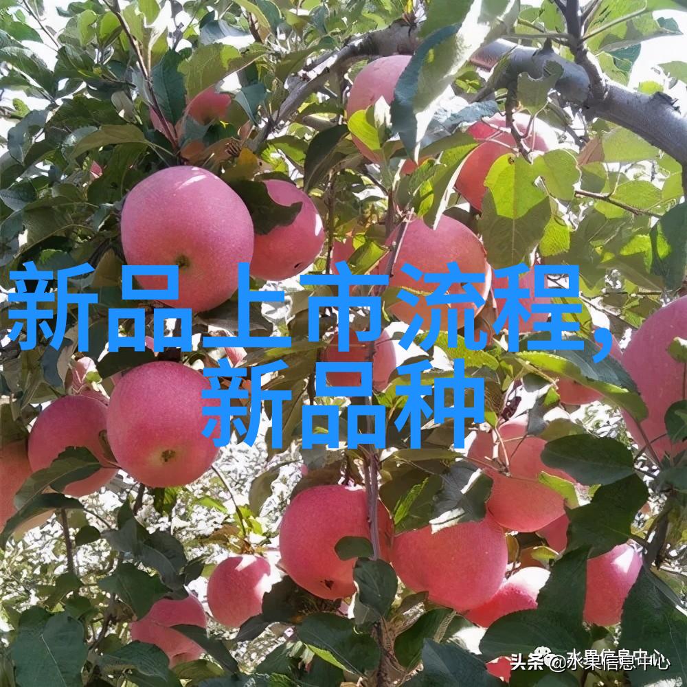 深圳职业技术学院科技与梦想的交汇之地