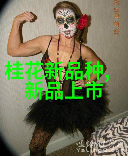 小米新品发布会视频中哪款扫地机器人能称得上是十大品牌中的佼佑